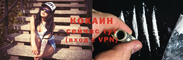 стафф Бородино