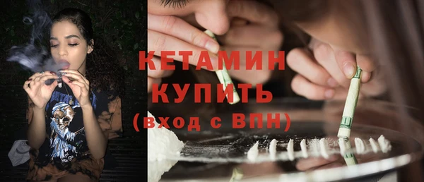 индика Богданович