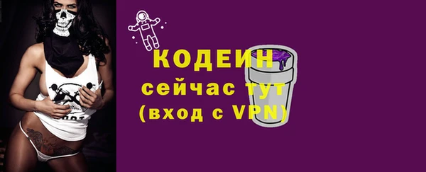 стафф Бородино