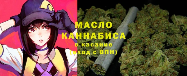 индика Богданович